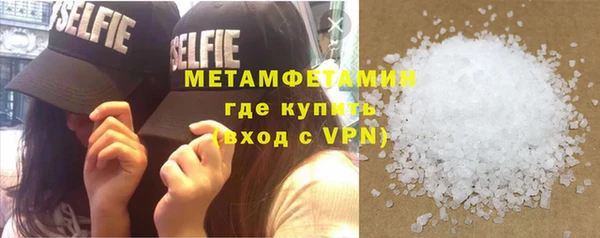 молекула духа Вяземский