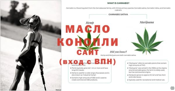 прущие крисы Анжеро-Судженск