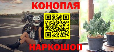индика Гусиноозёрск