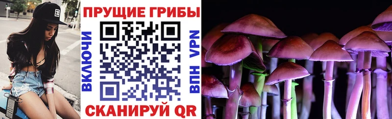 Галлюциногенные грибы ЛСД  Знаменск 
